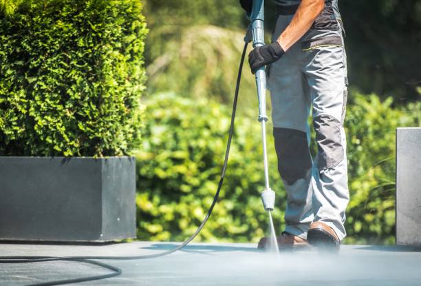 Best Rust Removal  in Pana, IL